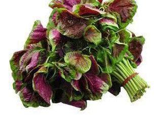 野莧菜能吃嗎？野莧菜圖片