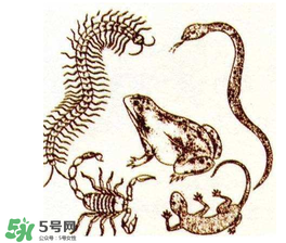 五毒日是哪幾天？2017年五毒日是哪幾天？