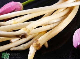 藕帶什么時(shí)候有？藕帶什么時(shí)候上市