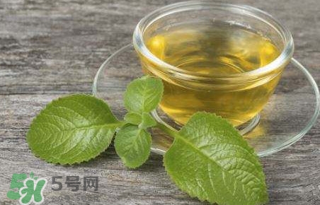 薄荷泡水喝有什么好處？薄荷葉泡水的功效