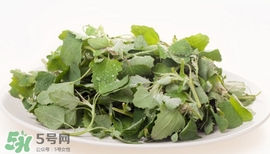 灰灰菜能吃嗎？灰灰菜怎么做菜才好吃