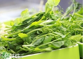 豌豆苗怎么做好吃？豌豆苗的做法
