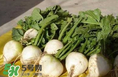 芥菜疙瘩孕婦能吃嗎？孕婦可以吃芥菜疙瘩嗎