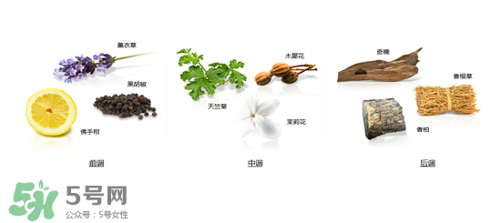 郎朗香水是什么牌子？郎朗香水是什么檔次？