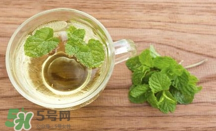 薄荷葉能生吃嗎？薄荷葉可以生吃嗎