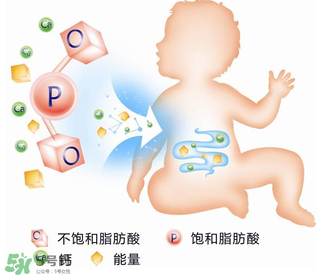 kabrita佳貝艾特羊奶粉怎么樣？kabrita佳貝艾特羊奶粉好不好？