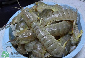 皮皮蝦死的怎么清洗？死的皮皮蝦怎么清洗？