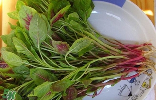 莧菜怎么洗？莧菜怎么擇