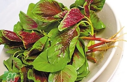 莧菜怎么吃？莧菜怎么炒
