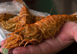 蝦爬子不能和什么一起吃？吃完蝦爬子不能吃什么？