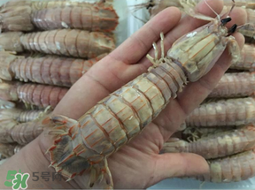蝦爬子是蒸還是煮？蝦爬子蒸好還是煮好？