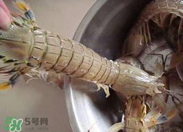 皮皮蝦可以放冰箱嗎？皮皮蝦能放冰箱保存嗎？