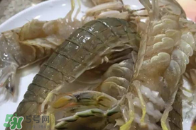 皮皮蝦可以放冰箱嗎？皮皮蝦能放冰箱保存嗎？