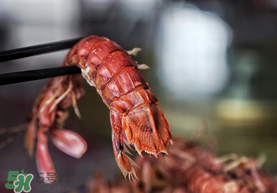 熟皮皮蝦隔夜還能吃嗎？煮熟的皮皮蝦隔夜能吃嗎？