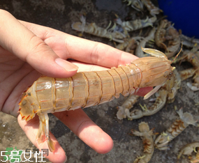 ?皮皮蝦發(fā)綠能吃嗎？?皮皮蝦變綠了還能吃嗎？