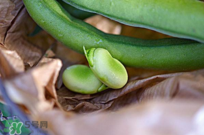 蠶豆可以放冰箱嗎？新鮮蠶豆可以放冰箱嗎？