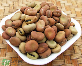 蠶豆長(zhǎng)蟲還能吃嗎？蠶豆怎么保存不長(zhǎng)蟲？
