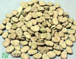 蠶豆長(zhǎng)蟲還能吃嗎？蠶豆怎么保存不長(zhǎng)蟲？