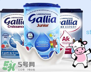 gallia佳利雅是什么品牌？gallia佳利雅奶粉是哪個國家的品牌？