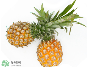 皮皮蝦和菠蘿能一起吃嗎？吃完皮皮蝦能吃菠蘿嗎？