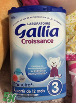 gallia佳利雅奶粉怎么沖？gallia佳利雅奶粉沖調(diào)方法？