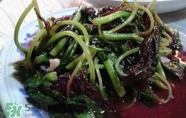 汗菜怎么摘？汗菜怎么擇