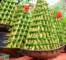 富貴竹有幾個(gè)品種？富貴竹有種子嗎？