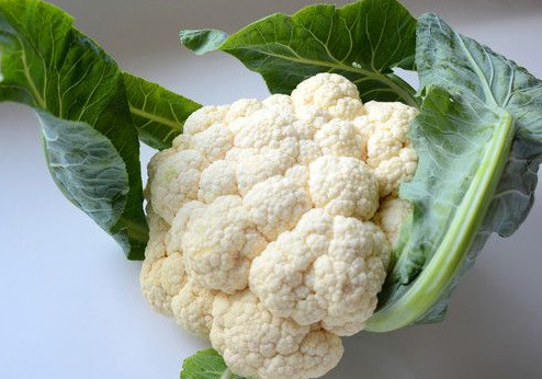 西蘭花是花菜嗎？西蘭花是菜花嗎