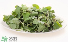 胃酸過多吃灰灰菜有好處嗎？胃酸過多能吃灰灰菜嗎