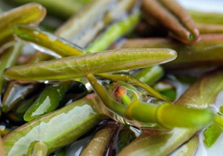 莼菜怎么做？莼菜怎么做好吃？