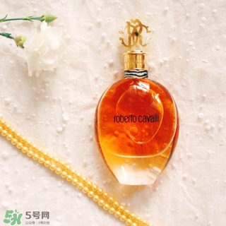 roberto cavalli是什么牌子？羅伯托卡沃利是幾線什么檔次？