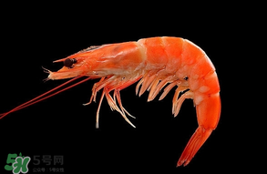 基圍蝦不能和什么一起吃？基圍蝦和什么不能一起吃？