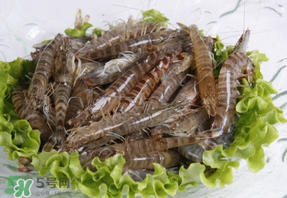 基圍蝦不能和什么一起吃？基圍蝦和什么不能一起吃？