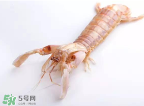 皮皮蝦什么時(shí)候有籽？皮皮蝦幾月份有籽？