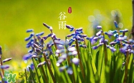 谷雨養(yǎng)生吃什么？谷雨養(yǎng)生常識(shí)