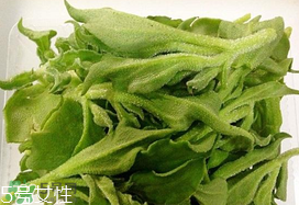 ?冰菜多少錢一斤？? 今年冰菜多少錢一斤？