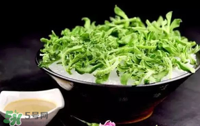 冰菜什么人不適宜吃？冰菜什么體質(zhì)不能吃？