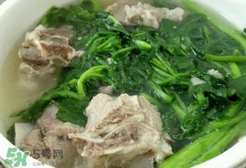 西洋菜是什么菜？西洋菜是什么樣的