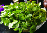 西洋菜怎么摘洗？西洋菜怎么洗才干凈