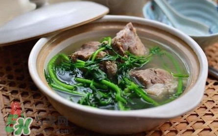西洋菜怎么吃？西洋菜怎么做好吃