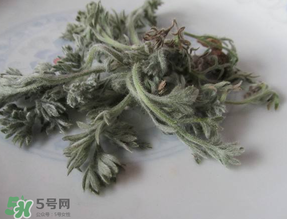 白蒿能治黃疸嗎？白蒿水可以治黃疸嗎？
