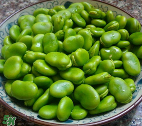 蠶豆多少錢一斤？蠶豆多少錢一斤2017？