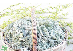 白蒿要焯水嗎？白蒿要不要焯水？