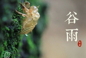 谷雨養(yǎng)生吃什么？谷雨養(yǎng)生常識(shí)