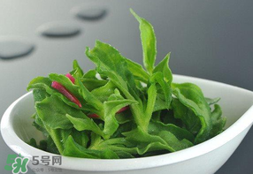 冰草可以放冰箱嗎？冰草能用冰塊保存嗎？