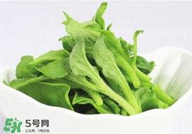 冰草多少錢一斤？非洲冰草多少錢一斤？