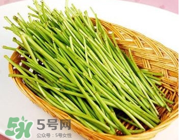蘆蒿與茼蒿有什么區(qū)別？蘆蒿和茼蒿的區(qū)別