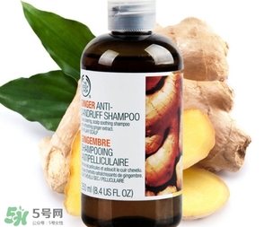 美體小鋪生姜洗發(fā)水怎么樣？the body shop生姜洗發(fā)水使用心得