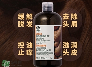 美體小鋪生姜洗發(fā)水怎么樣？the body shop生姜洗發(fā)水使用心得