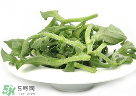 ?冰草為什么會酸？冰草為什么是酸的？